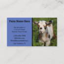 Recherche de yeux bleus cartes visite Animal