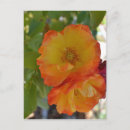 Suche nach gelb orange postkarten Herbst