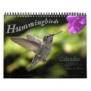 Suche nach kolibri kalender Fotografie