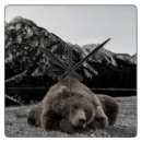 Recherche de ours horloges Cabine