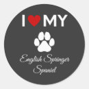 Suche nach englischer springer spaniel aufkleber Welpe