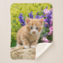 Suche nach lustiger tiger decken Katze