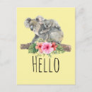 Recherche de koala gris cartes postales Faune