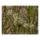 Suche nach südwestlich poster Blume