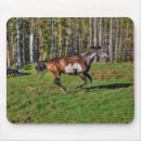 Recherche de cheval et forêt tapis souris Amoureux des animaux
