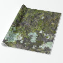 Recherche de camo photographie Camouflage