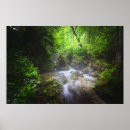 Suche nach bezaubert poster Blume