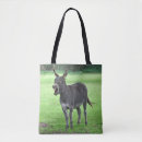 Recherche de donkey sacs Mule