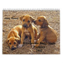 Recherche de ridgeback rhodesian Ridgebacks