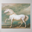 Suche nach cheval poster Weiß