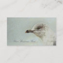 Recherche de extracteur cartes visite Animal