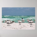 Suche nach siesta poster Tropisch