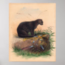 Recherche de wolf posters Vintage