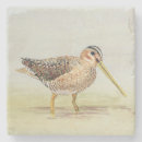 Suche nach für jäger untersetzer Vogel