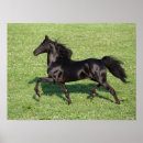 Recherche de morgan posters Race