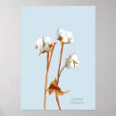Suche nach baumwolle poster Botanisch