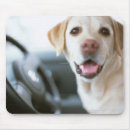 Recherche de labrador retriever tapis souris Vacances