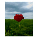 Suche nach wiesen poster Landschaft