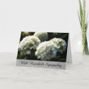 Suche nach herzliches beileidskarten Blume