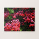 Suche nach fuchsie puzzle Blume