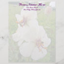 Recherche de région multi Floral