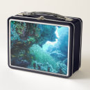 Suche nach unterwasser brotdosen Korallenriff