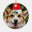 Suche nach weihnachtsspaß ornamente Lustig