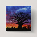 Recherche de baobab accessoires Arbre