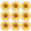 Suche nach orange und gelbe blumen aufkleber Blumig