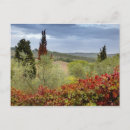 Recherche de tuscany cartes postales Italy
