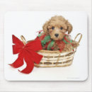 Suche nach schoßhund mousepads Sitzen