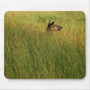 Suche nach am schnellsten mousepads Natur