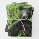 Suche nach schwarze bären geschenkpapier Tragen