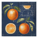 Suche nach orange fruit poster Küche