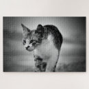 Recherche de chat noir et blanc puzzles Maison