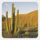 Suche nach baja aufkleber Landschaft