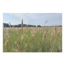 Suche nach sommerwiese poster Landschaft