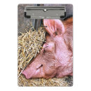 Suche nach niedliches schwein klemmbrett Bauernhof
