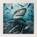 Suche nach flossen puzzle Meer