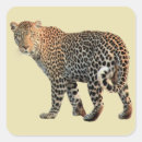 Suche nach gepunktete katze aufkleber Wildtier