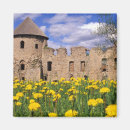 Recherche de fleur de pissenlit magnets Jaune