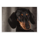 Recherche de oeil brun cartes postales Mignon