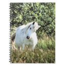 Recherche de cheval gris carnets Poney