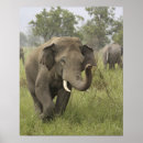 Recherche de asie art Parc national