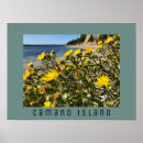 Suche nach strandfront poster Urlaub