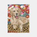 Suche nach golden retriever decken Haustiere