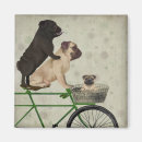 Suche nach pug andere Pugs