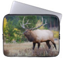 Suche nach mountain laptop schutzhüllen Danita abgrenzung