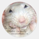 Recherche de rats autocollants Rongeur
