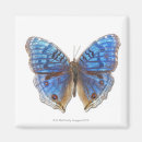 Suche nach niedlicher schmetterling magnete Tier